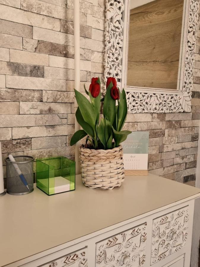 Ferienwohnung Gerersdorf Gerersdorf bei Güssing Εξωτερικό φωτογραφία