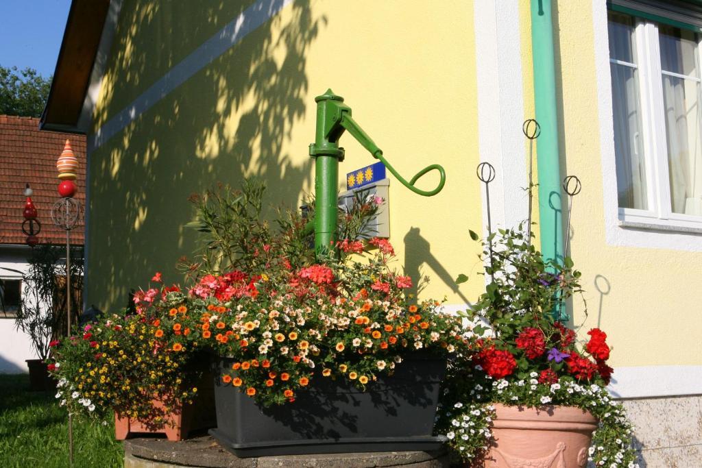 Ferienwohnung Gerersdorf Gerersdorf bei Güssing Εξωτερικό φωτογραφία